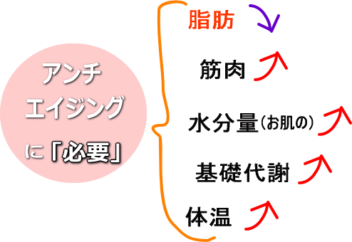 アンチエイジングに必要なもの