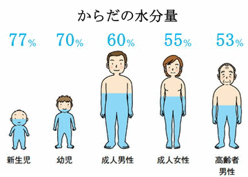 からだの水分量