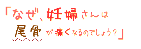 なぜ、妊婦さんは尾骨が痛くなるのでしょう?