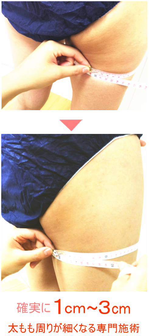 �������������o���G�X�e ����������ׂ��Ȃ���{�p