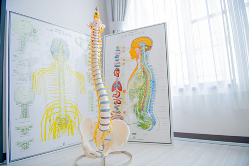 産後骨盤矯正&マタニティ整体 専門川崎サロン