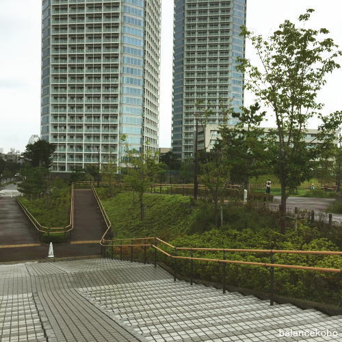 �����s ���c�J�� ��q�ʐ�wjpg