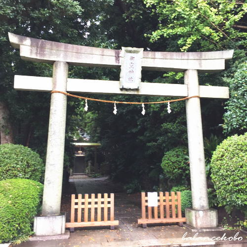 神奈川県 横浜市 泉区 中田北周辺へ【最寄り駅:中田駅】jpg