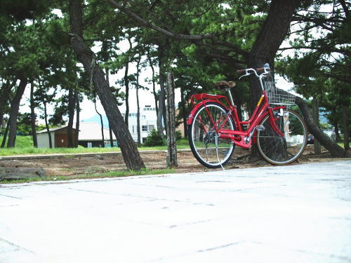 ��ʌ� ����s ���R���w����jpg