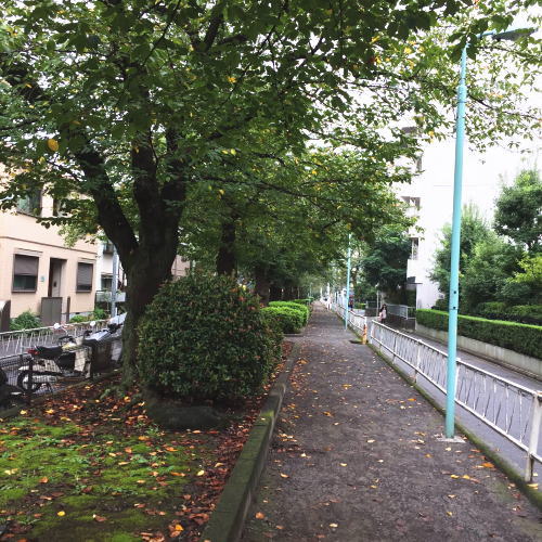 �����s �ڍ��� ���� ����