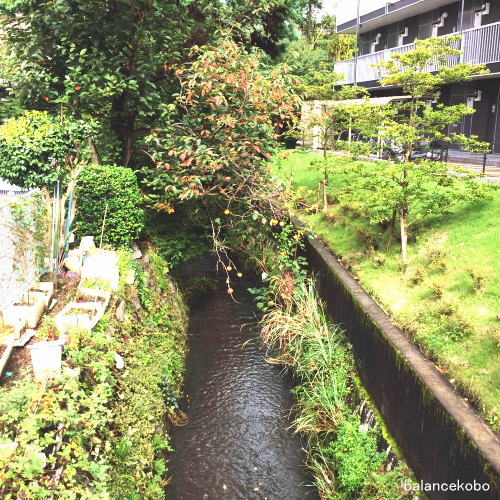 �_�ސ쌧 ���s ������ �ǔ������h�O�w����jpg