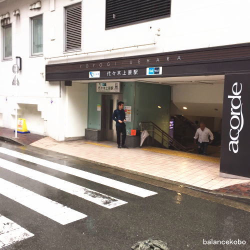 ���� �a�J�� �㌴ ��X�؏㌴�wjpg